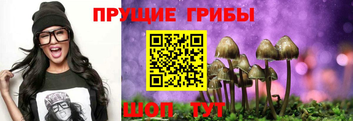 Галлюциногенные грибы ЛСД  Вход с VPN  Абакан 