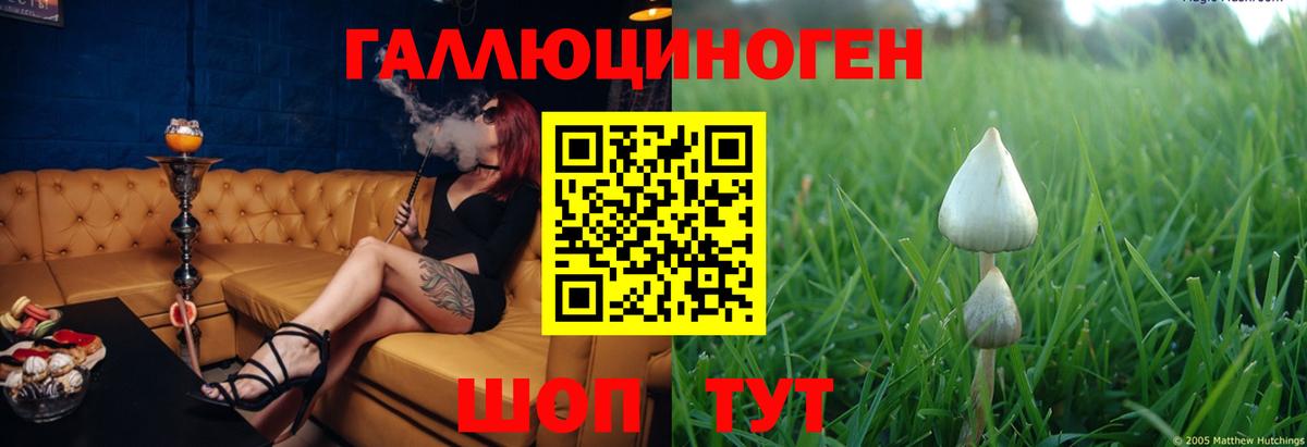 Псилоцибиновые грибы GOLDEN TEACHER Абакан